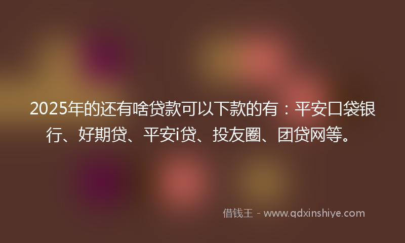 2025年的还有啥贷款可以下款的有：平安口袋银行、好期贷、平安i贷、投友圈、团贷网等。