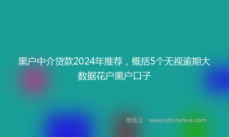 黑户中介贷款2024年推荐，概括5个无视逾期大数据花户黑户口子