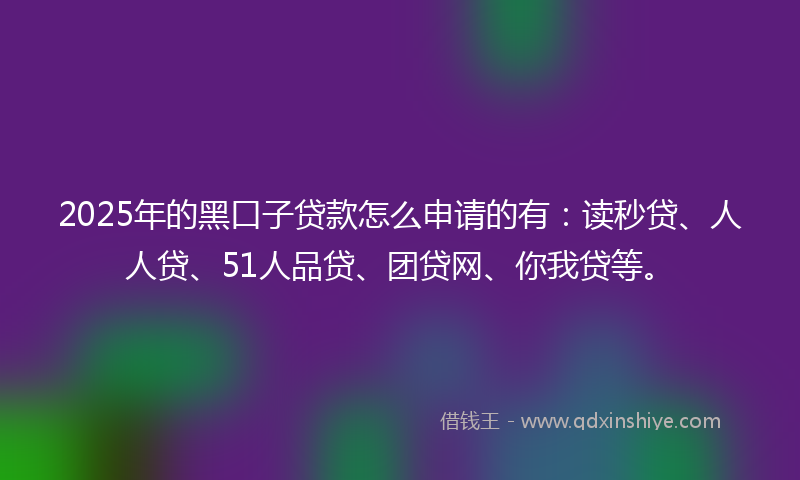 2025年的黑口子贷款怎么申请的有：读秒贷、人人贷、51人品贷、团贷网、你我贷等。