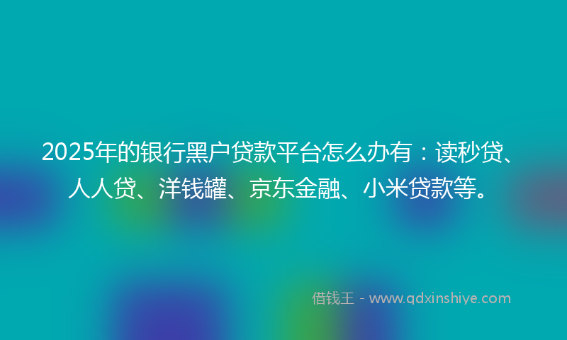 2025年的银行黑户贷款平台怎么办有：读秒贷、人人贷、洋钱罐、京东金融、小米贷款等。