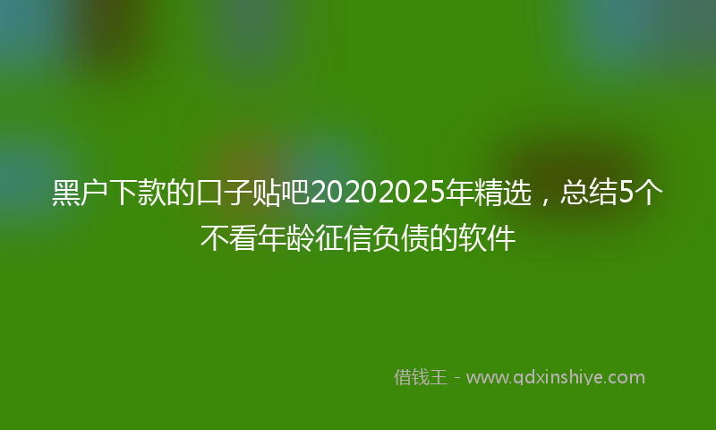 黑户下款的口子贴吧20202025年精选，总结5个不看年龄征信负债的软件