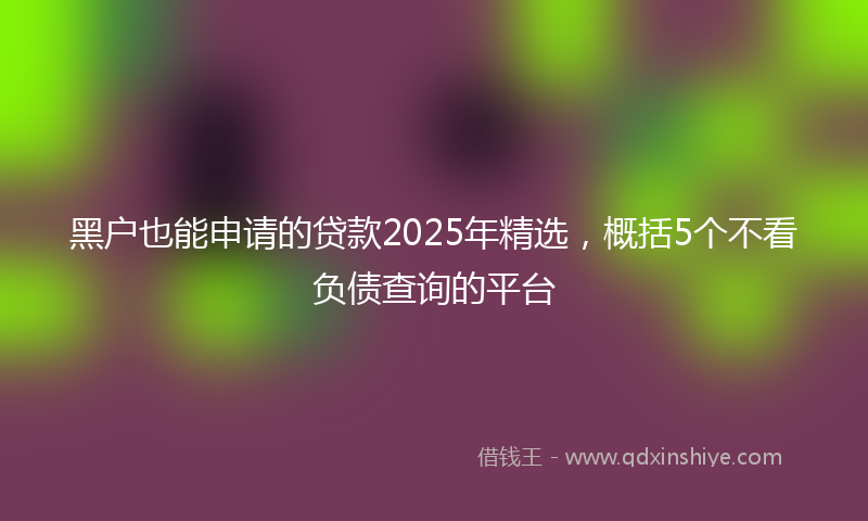 黑户也能申请的贷款2025年精选，概括5个不看负债查询的平台