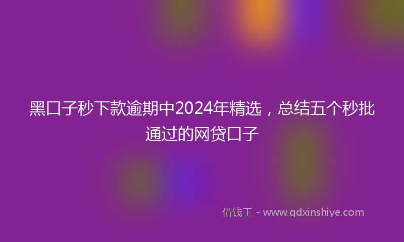 黑口子秒下款逾期中2024年精选，总结五个秒批通过的网贷口子