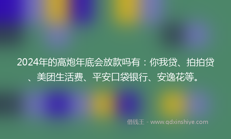 2024年的高炮年底会放款吗有：你我贷、拍拍贷、美团生活费、平安口袋银行、安逸花等。