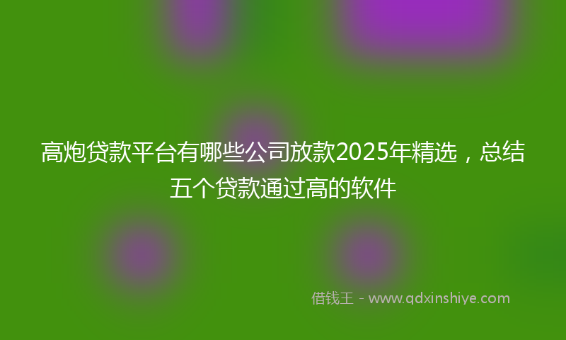 高炮贷款平台有哪些公司放款2025年精选，总结五个贷款通过高的软件