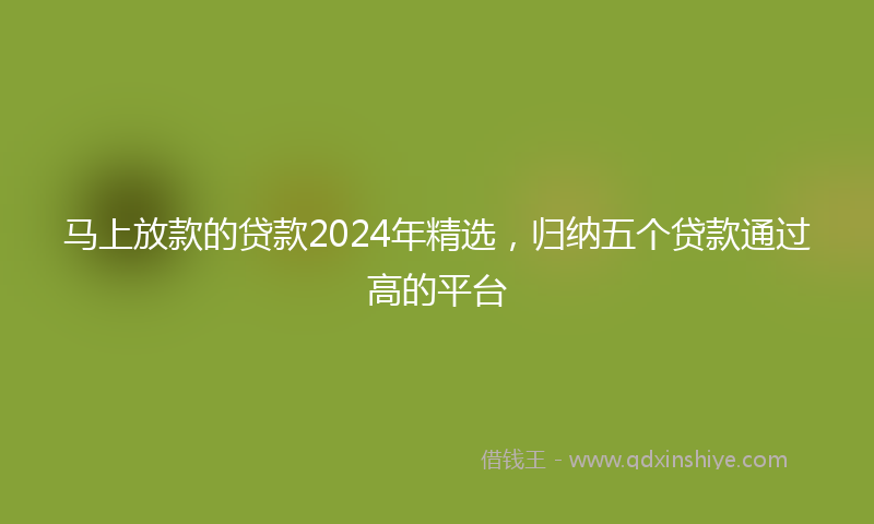 马上放款的贷款2024年精选，归纳五个贷款通过高的平台