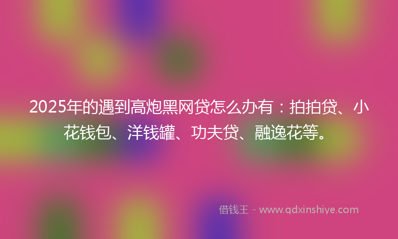 2025年的遇到高炮黑网贷怎么办有：拍拍贷、小花钱包、洋钱罐、功夫贷、融逸花等。