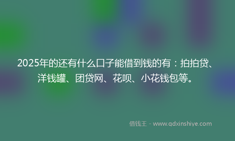 2025年的还有什么口子能借到钱的有：拍拍贷、洋钱罐、团贷网、花呗、小花钱包等。