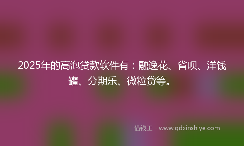 2025年的高泡贷款软件有：融逸花、省呗、洋钱罐、分期乐、微粒贷等。