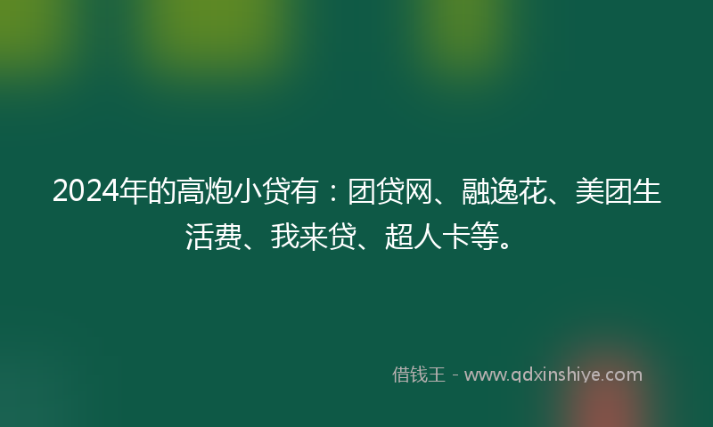 2024年的高炮小贷有：团贷网、融逸花、美团生活费、我来贷、超人卡等。