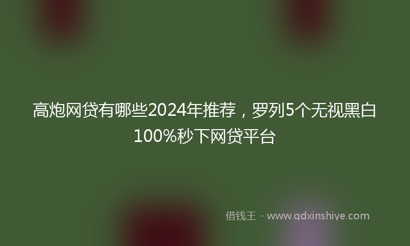 高炮网贷有哪些2024年推荐，罗列5个无视黑白100%秒下网贷平台