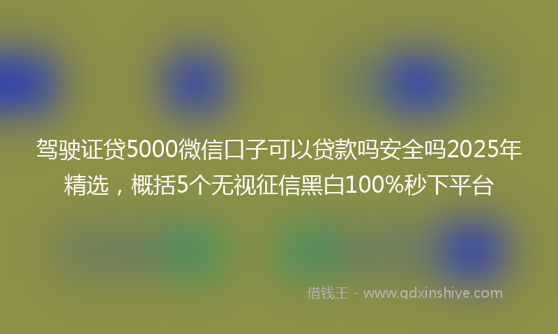 驾驶证贷5000微信口子可以贷款吗安全吗2025年精选，概括5个无视征信黑白100%秒下平台