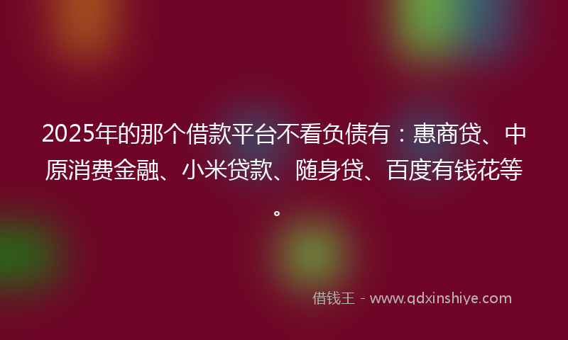 2025年的那个借款平台不看负债有：惠商贷、中原消费金融、小米贷款、随身贷、百度有钱花等。
