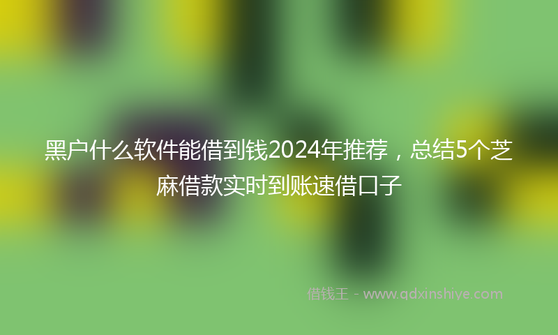 黑户什么软件能借到钱2024年推荐，总结5个芝麻借款实时到账速借口子