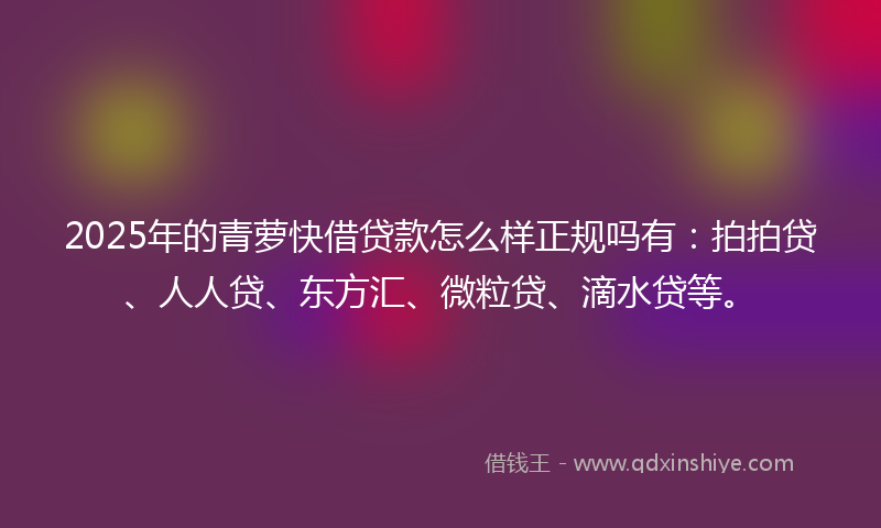 2025年的青萝快借贷款怎么样正规吗有：拍拍贷、人人贷、东方汇、微粒贷、滴水贷等。