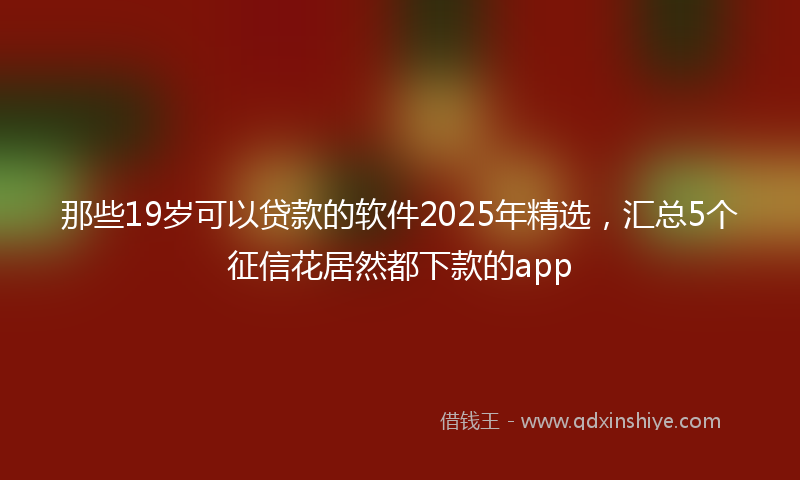 那些19岁可以贷款的软件2025年精选，汇总5个征信花居然都下款的app