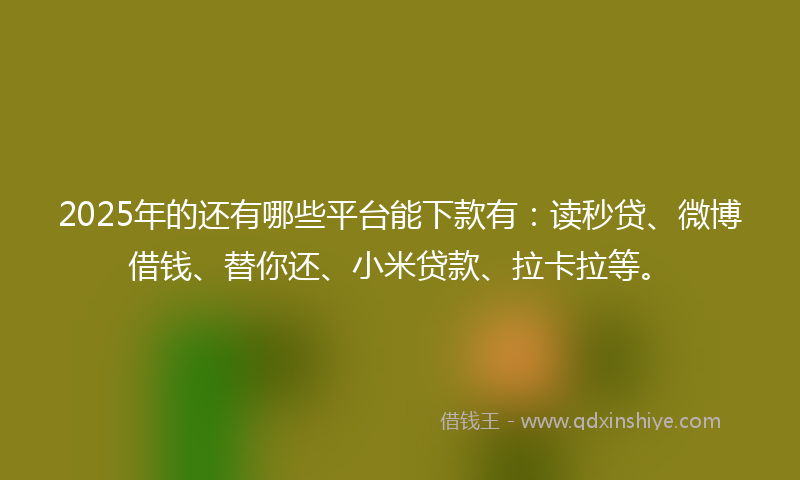 2025年的还有哪些平台能下款有：读秒贷、微博借钱、替你还、小米贷款、拉卡拉等。