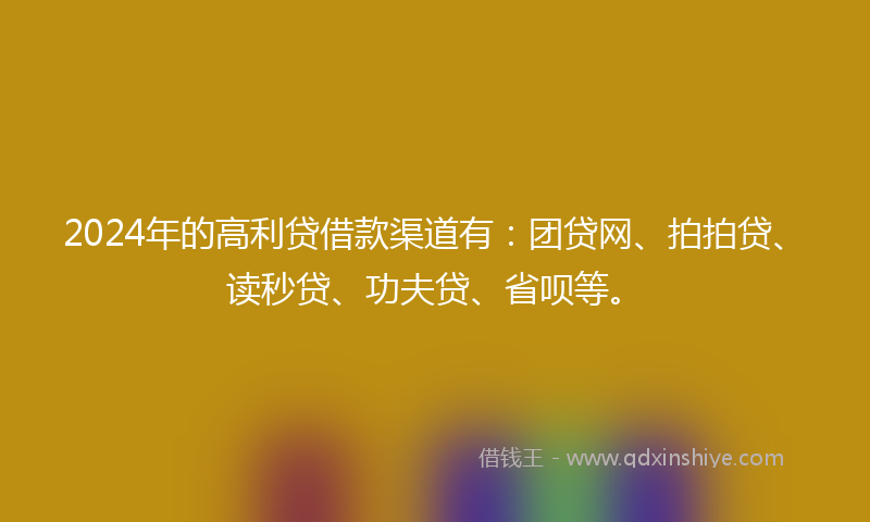 2024年的高利贷借款渠道有：团贷网、拍拍贷、读秒贷、功夫贷、省呗等。
