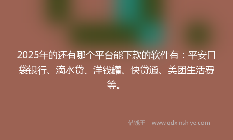 2025年的还有哪个平台能下款的软件有：平安口袋银行、滴水贷、洋钱罐、快贷通、美团生活费等。