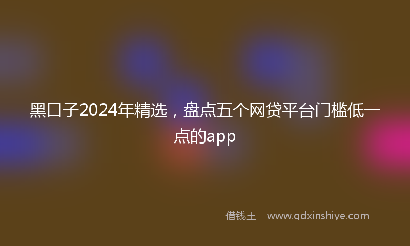 黑口子2024年精选，盘点五个网贷平台门槛低一点的app