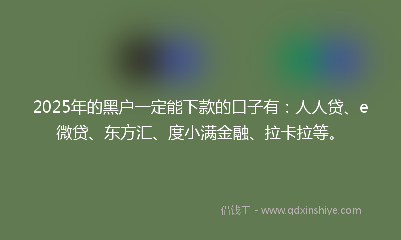 2025年的黑户一定能下款的口子有：人人贷、e微贷、东方汇、度小满金融、拉卡拉等。