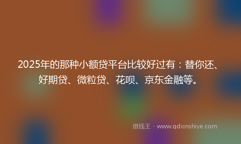 2025年的那种小额贷平台比较好过有：替你还、好期贷、微粒贷、花呗、京东金融等。