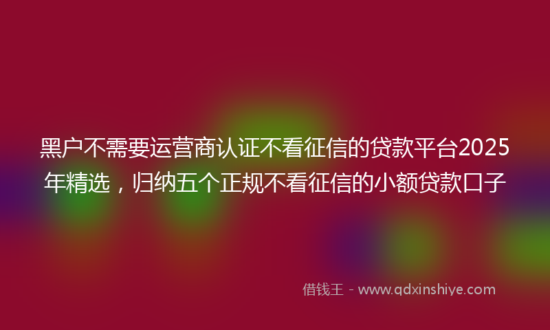 黑户不需要运营商认证不看征信的贷款平台2025年精选，归纳五个正规不看征信的小额贷款口子