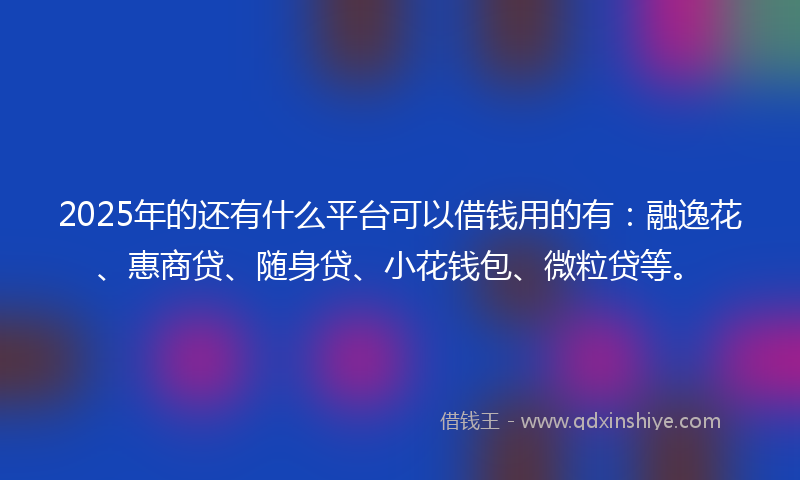 2025年的还有什么平台可以借钱用的有：融逸花、惠商贷、随身贷、小花钱包、微粒贷等。