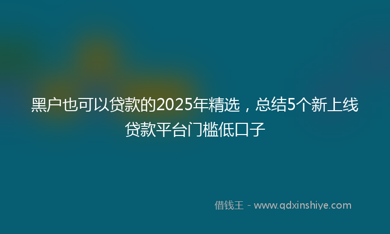 黑户也可以贷款的2025年精选，总结5个新上线贷款平台门槛低口子