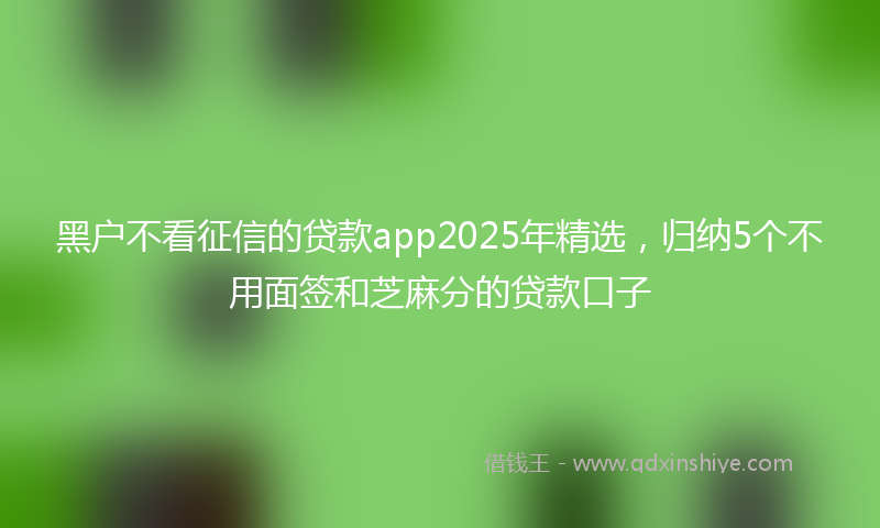 黑户不看征信的贷款app2025年精选，归纳5个不用面签和芝麻分的贷款口子