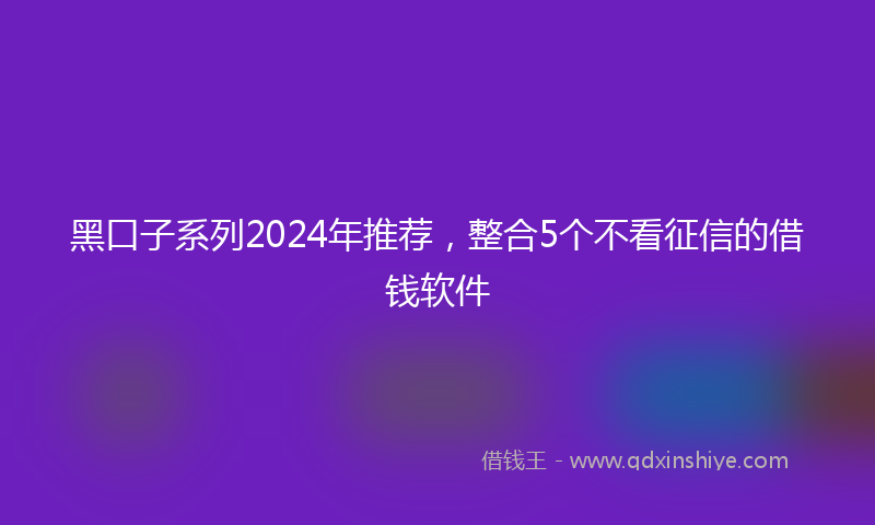 黑口子系列2024年推荐，整合5个不看征信的借钱软件