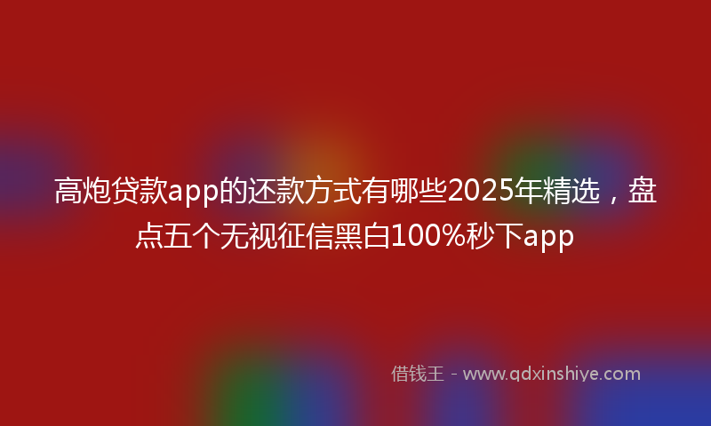 高炮贷款app的还款方式有哪些2025年精选，盘点五个无视征信黑白100%秒下app