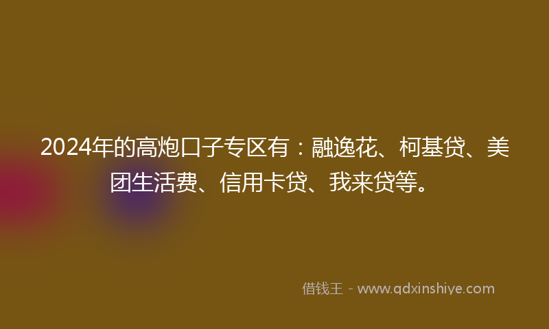 2024年的高炮口子专区有：融逸花、柯基贷、美团生活费、信用卡贷、我来贷等。