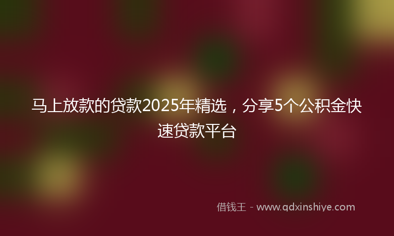 马上放款的贷款2025年精选，分享5个公积金快速贷款平台