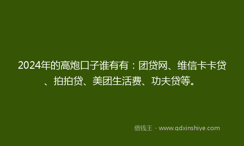 2024年的高炮口子谁有有：团贷网、维信卡卡贷、拍拍贷、美团生活费、功夫贷等。