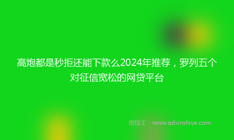 高炮都是秒拒还能下款么2024年推荐，罗列五个对征信宽松的网贷平台