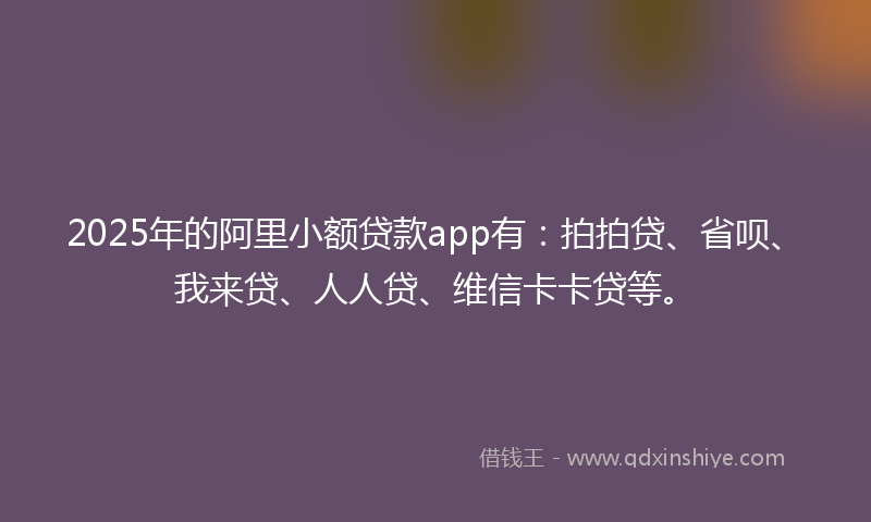 2025年的阿里小额贷款app有：拍拍贷、省呗、我来贷、人人贷、维信卡卡贷等。