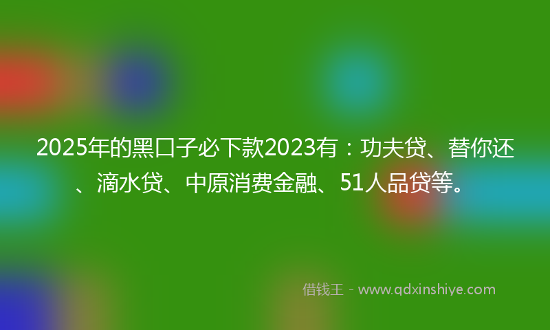2025年的黑口子必下款2023有：功夫贷、替你还、滴水贷、中原消费金融、51人品贷等。