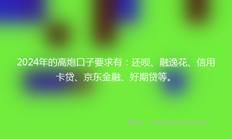 2024年的高炮口子要求有：还呗、融逸花、信用卡贷、京东金融、好期贷等。
