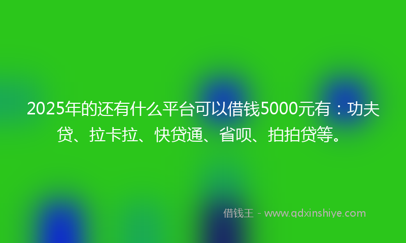 2025年的还有什么平台可以借钱5000元有：功夫贷、拉卡拉、快贷通、省呗、拍拍贷等。