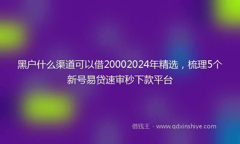 黑户什么渠道可以借20002024年精选，梳理5个新号易贷速审秒下款平台