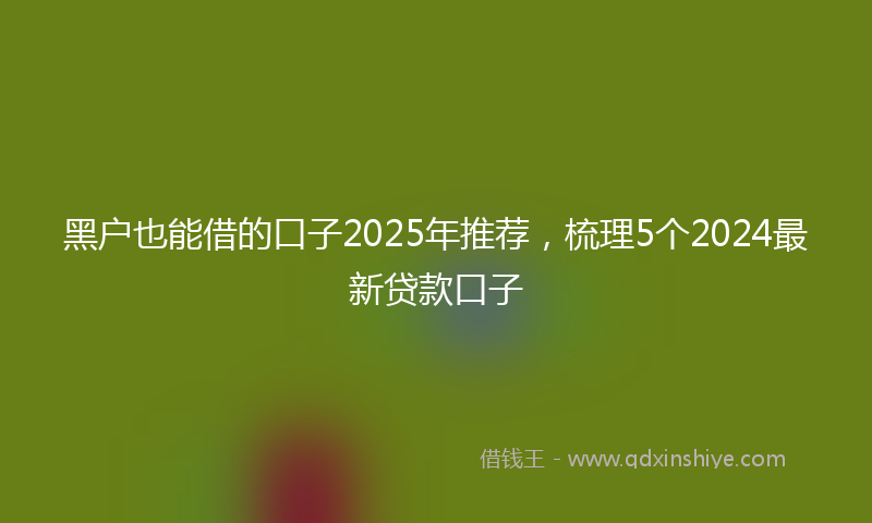 黑户也能借的口子2025年推荐，梳理5个2024最新贷款口子