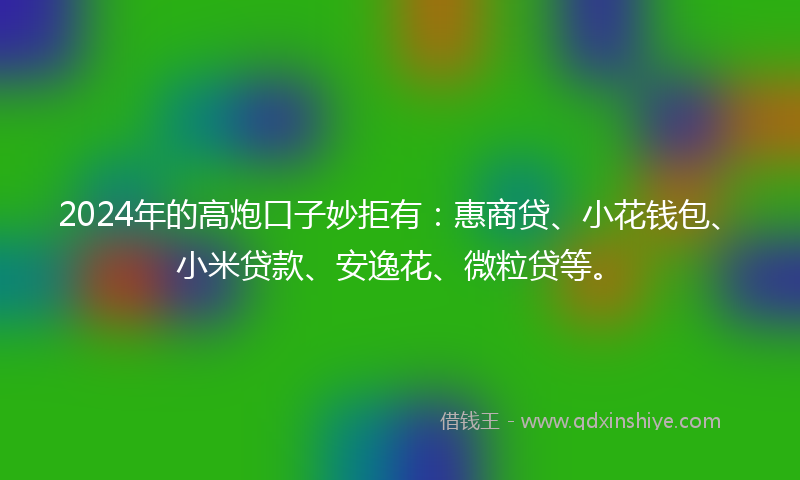 2024年的高炮口子妙拒有：惠商贷、小花钱包、小米贷款、安逸花、微粒贷等。