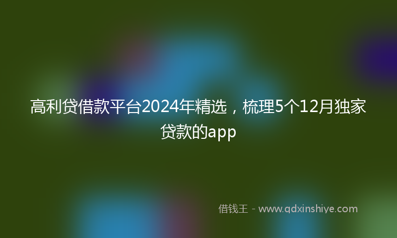 高利贷借款平台2024年精选，梳理5个12月独家贷款的app