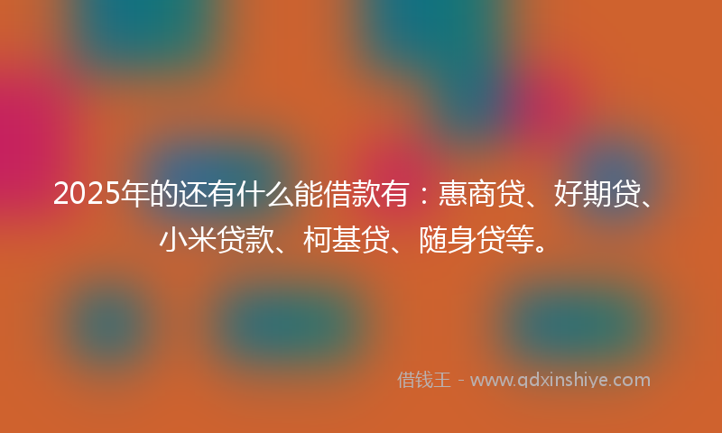 2025年的还有什么能借款有：惠商贷、好期贷、小米贷款、柯基贷、随身贷等。