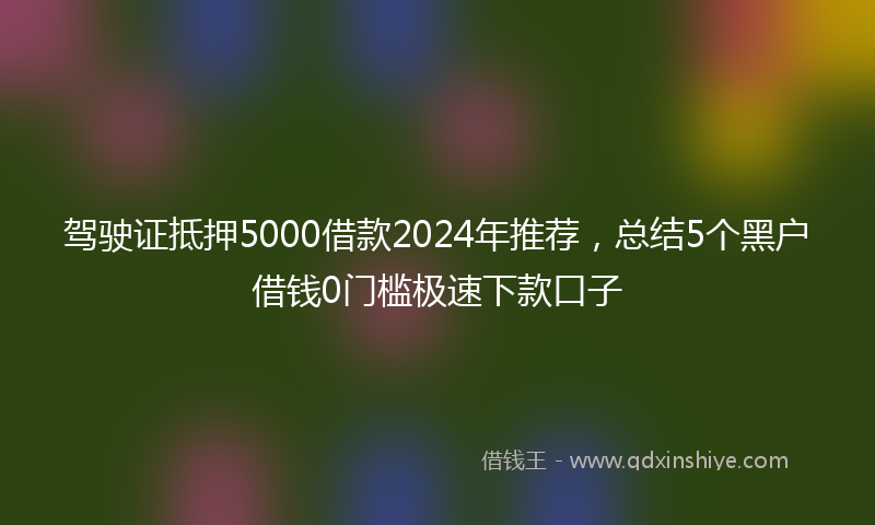 驾驶证抵押5000借款2024年推荐，总结5个黑户借钱0门槛极速下款口子