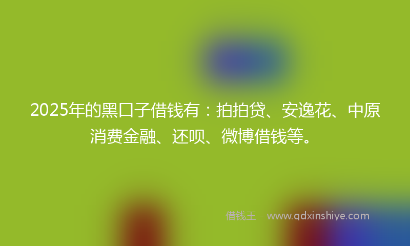 2025年的黑口子借钱有：拍拍贷、安逸花、中原消费金融、还呗、微博借钱等。