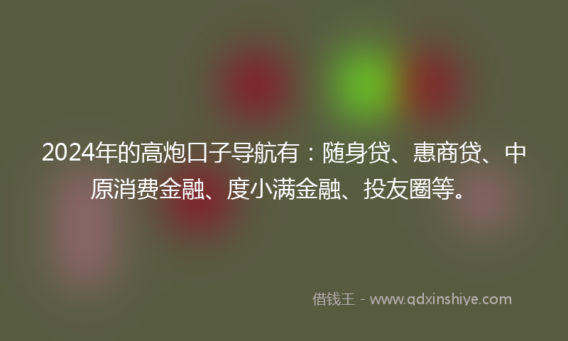 2024年的高炮口子导航有：随身贷、惠商贷、中原消费金融、度小满金融、投友圈等。