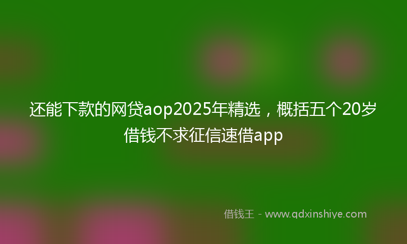 还能下款的网贷aop2025年精选，概括五个20岁借钱不求征信速借app