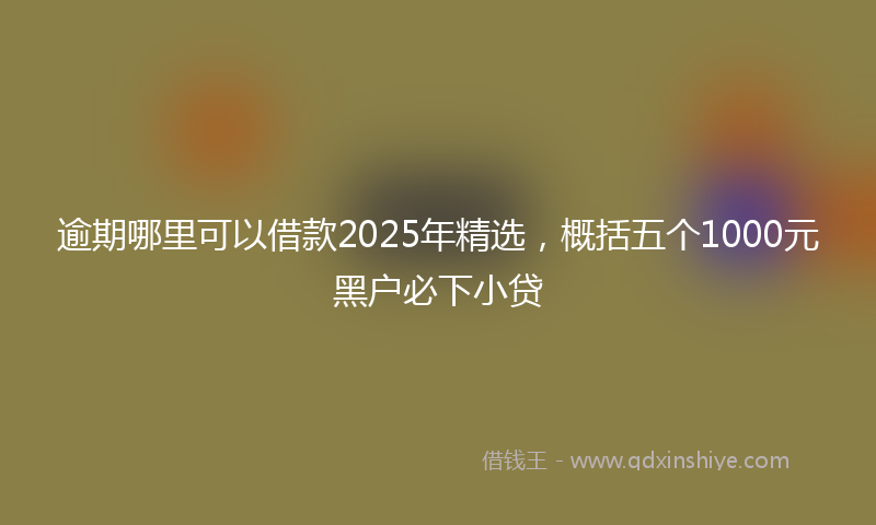 逾期哪里可以借款2025年精选，概括五个1000元黑户必下小贷